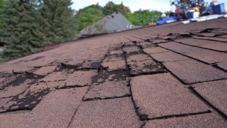 Best Metal Roofing Installation  in Flagtown, NJ